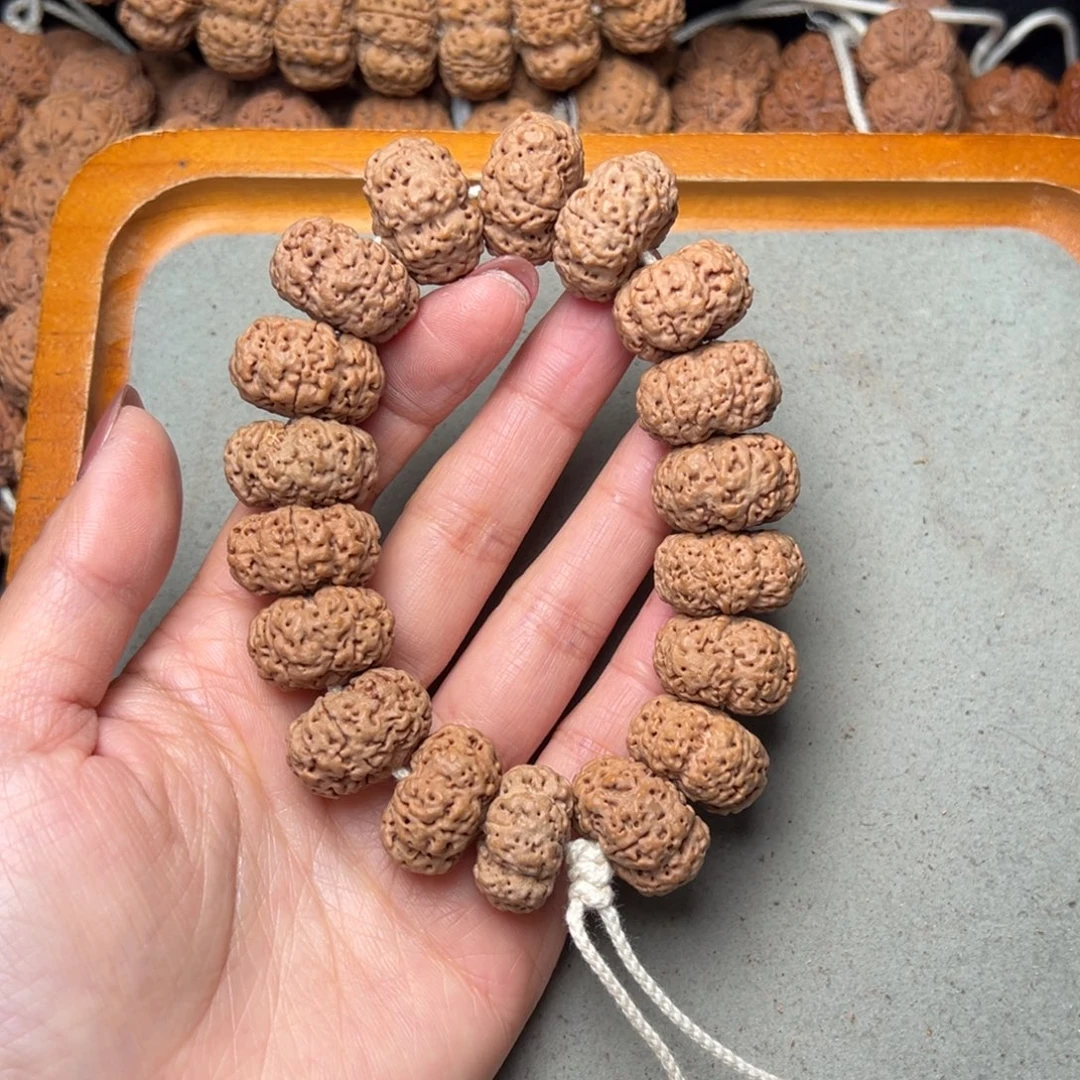 菩提14号金刚菩提蜂王夹板22