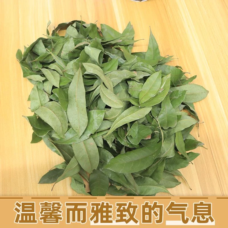 自然真树叶装饰干树叶落叶枫叶自然晒干梧桐叶枯树叶创意标本拍照