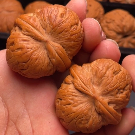 文玩核桃把件秦岭山脉核桃