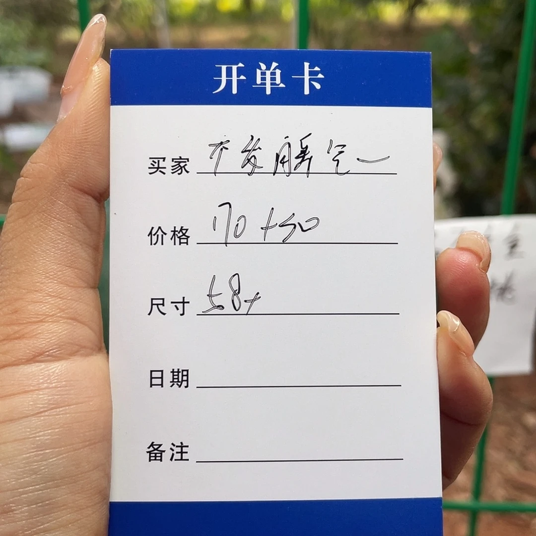 不***财非金属所见皆所得