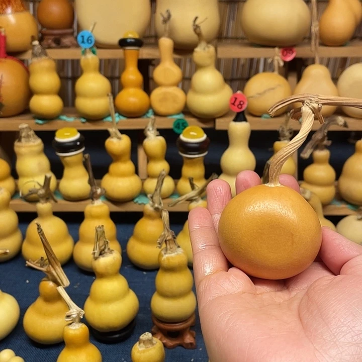 威***威1111111111111111111111