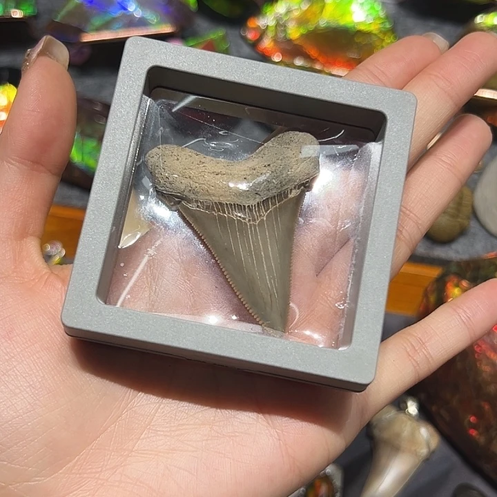 F***b精品系列产品摆件1357890