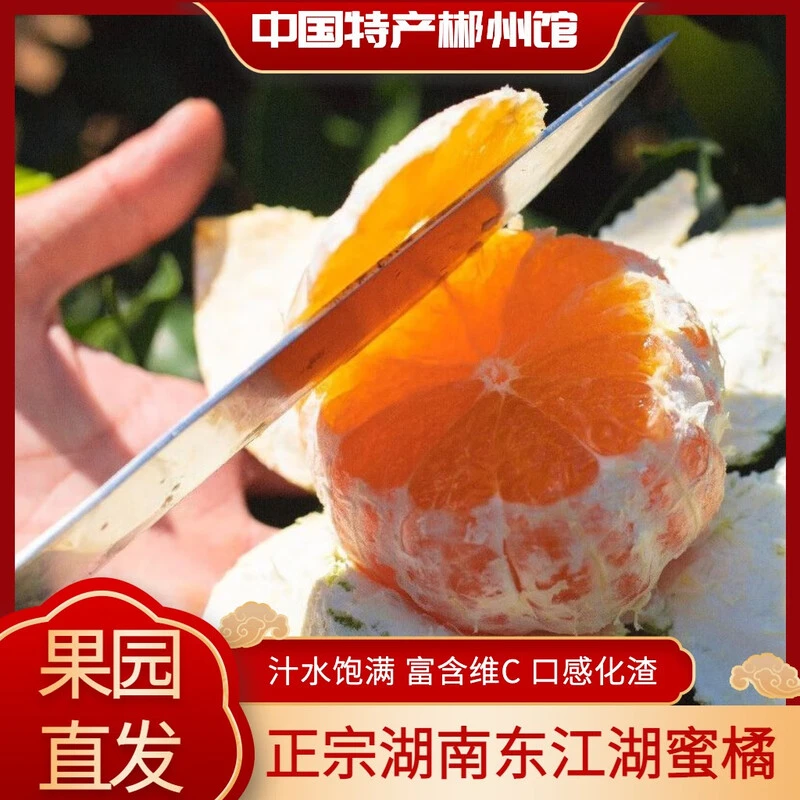 【源头直发】东江湖蜜桔 皮薄多汁无籽无核蜜橘 现摘新鲜速达