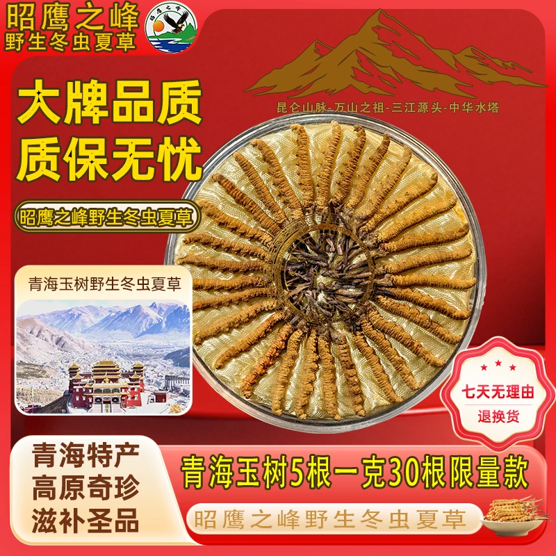 昭鹰之峰昭鹰之峰青海玉树野生冬虫夏草5根一克系列
