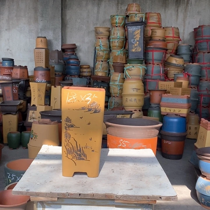 紫砂花盆盆栽花卉苗木种植