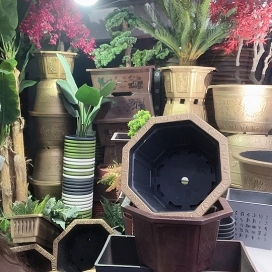 复合梅花照眼 依然旧风味