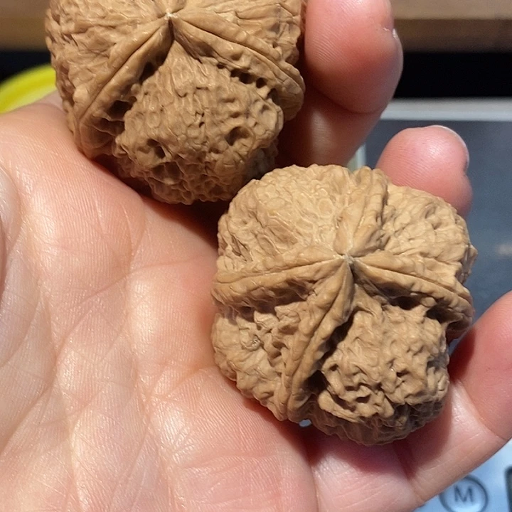 明***文玩核桃把件7677）hhhhhhhh