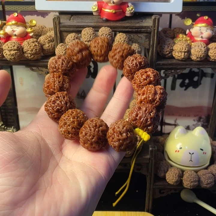 手串金刚菩提五星蜂王