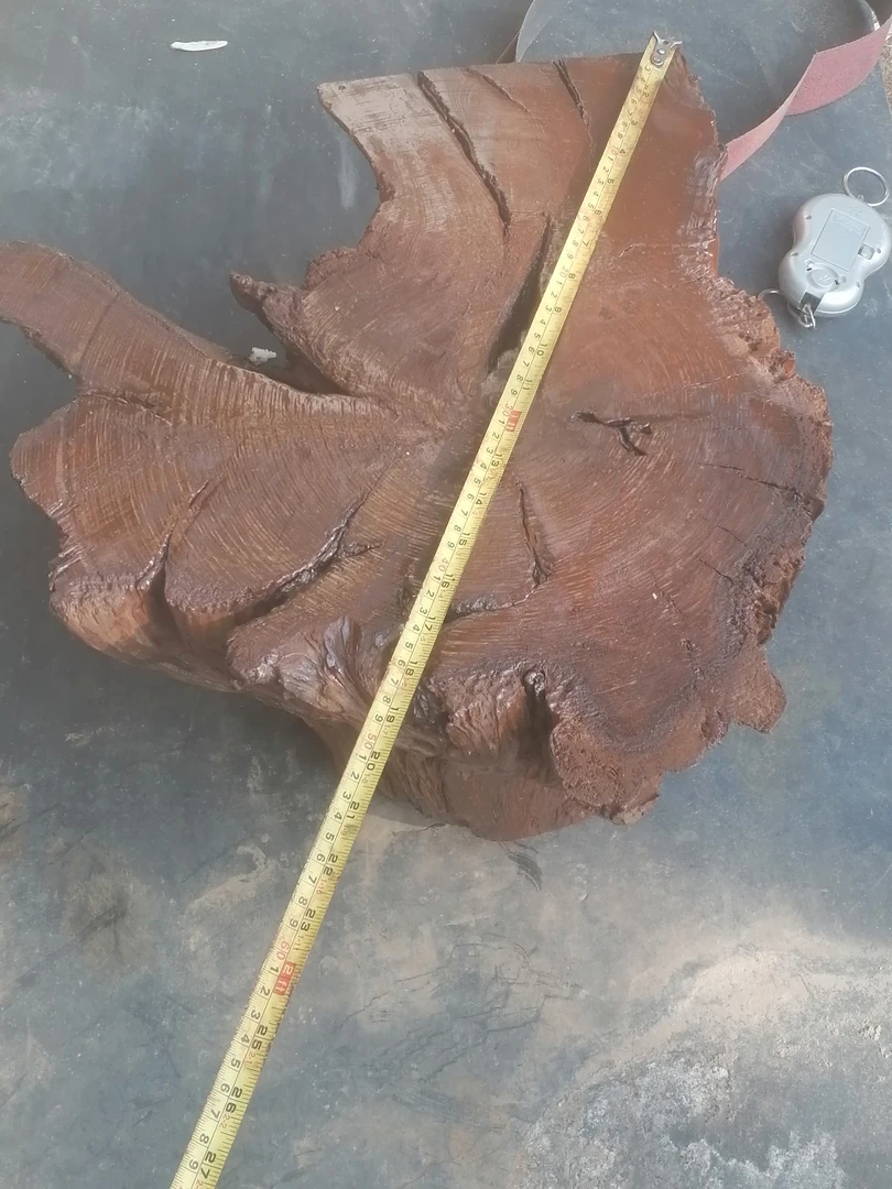 相思树木根，自然干燥，重30斤，高22公分