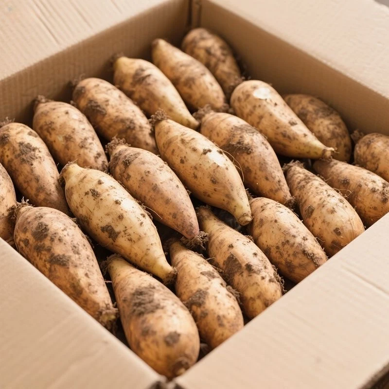 云南天山雪莲果新鲜水果蔬菜黄心大果当季应季整箱产地直发