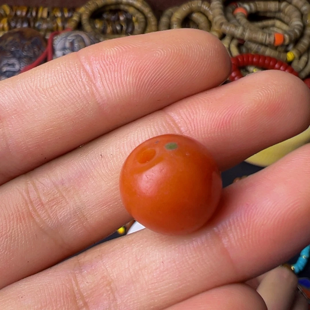 破布木（黑柿木）天*星