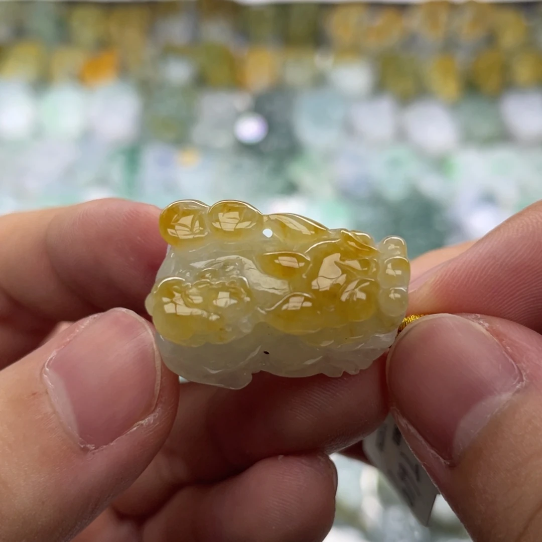 翡翠未镶嵌颈饰貔貅15