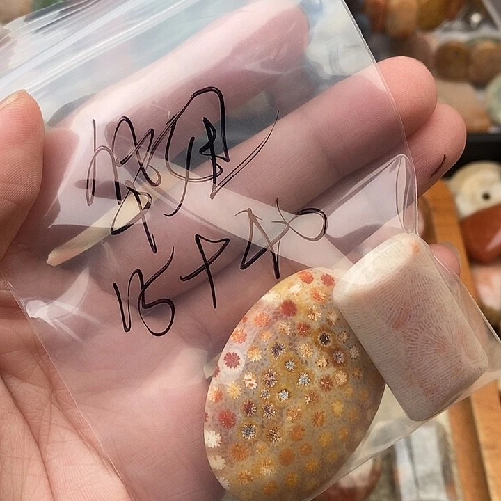 华***妞硅化玉颈饰未镶嵌