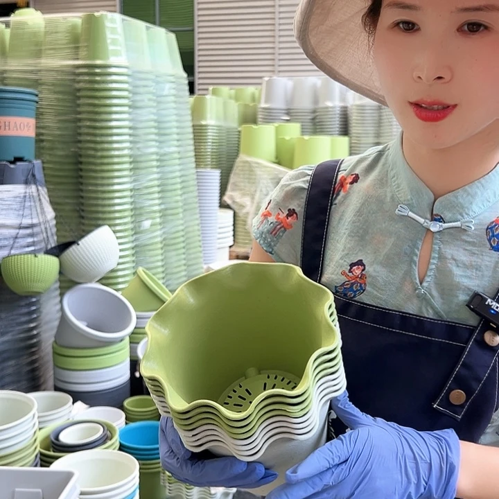 荷叶盆2#果绿5个含托