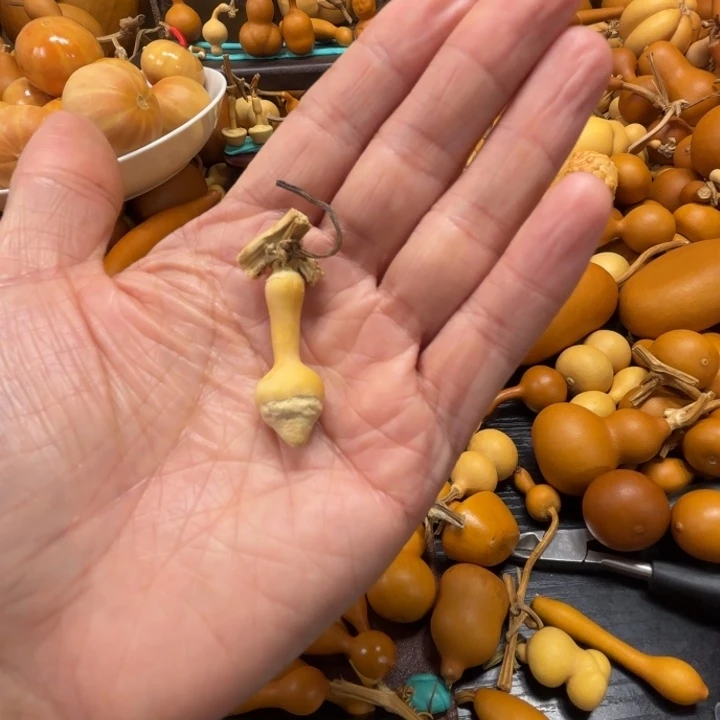 傅****?富得流油的一把小毛笔葫芦