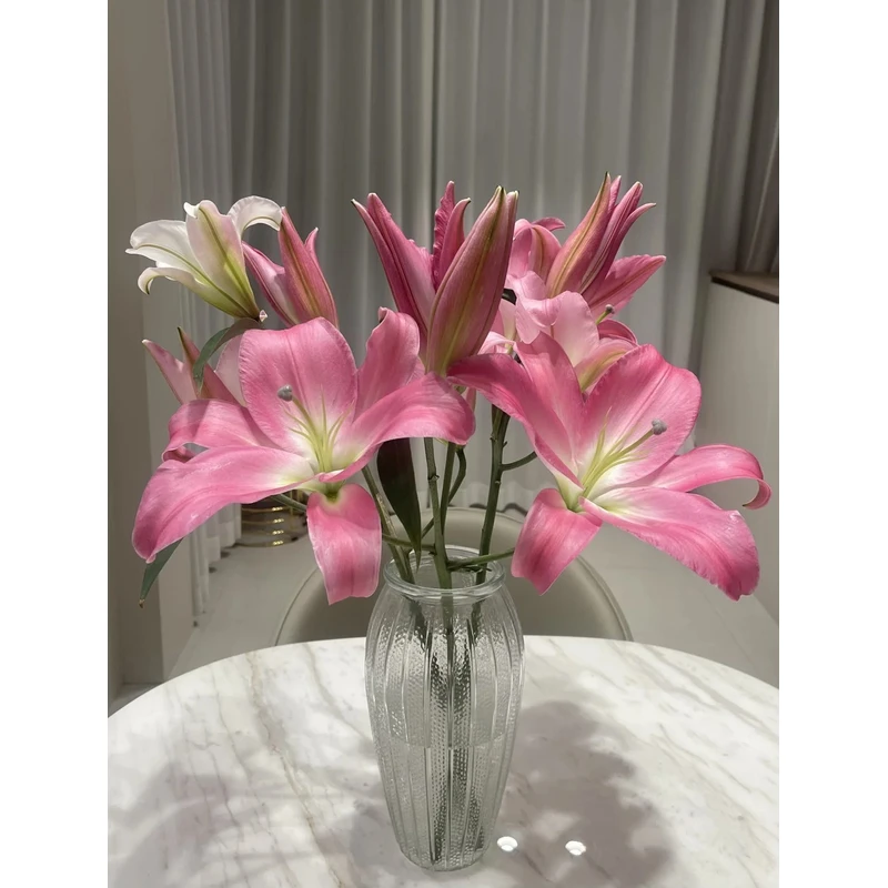 【星光】香水百合 一单包邮 云南鲜花昆明基地现采现发