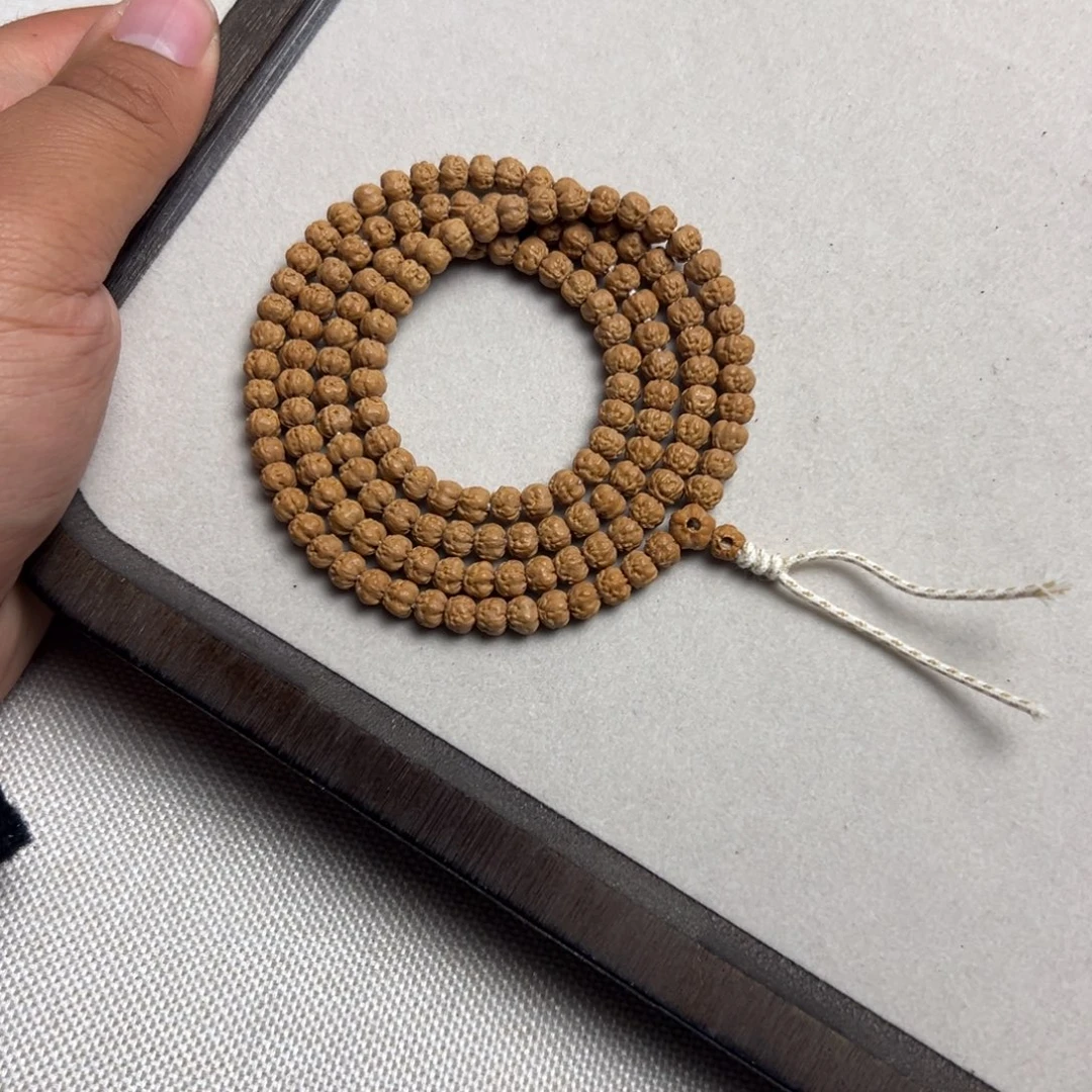 5.9➕五爪金龙原桩佛手