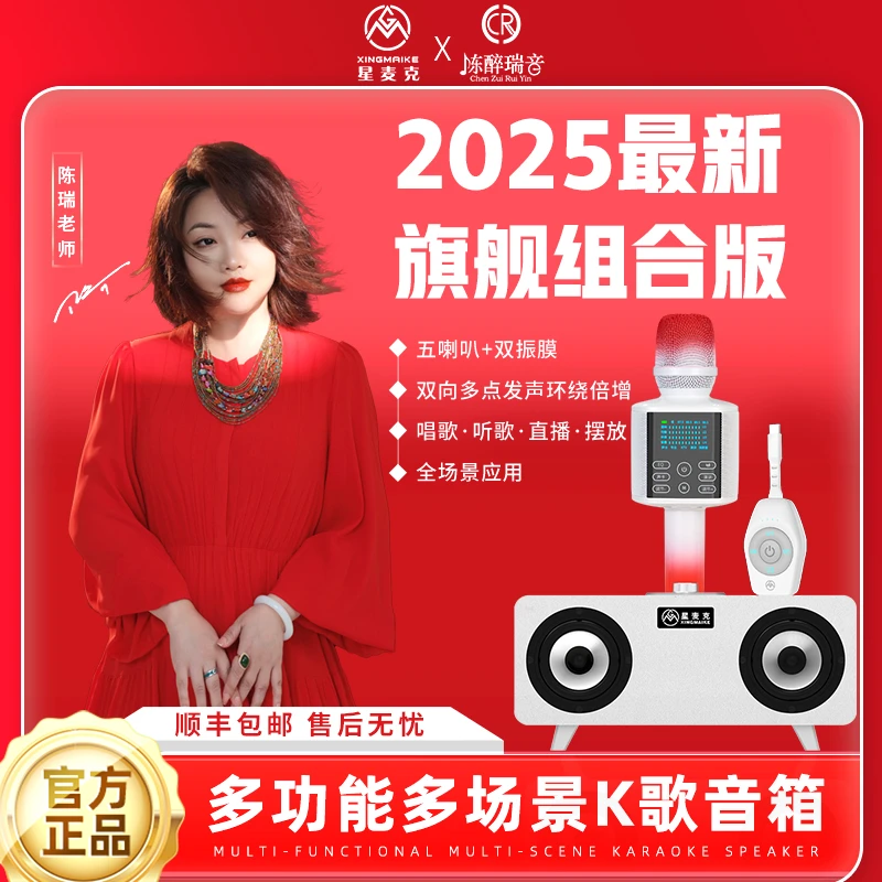 （陈瑞老师专属）星麦克高定旗舰款互娱1号KTV套餐音响