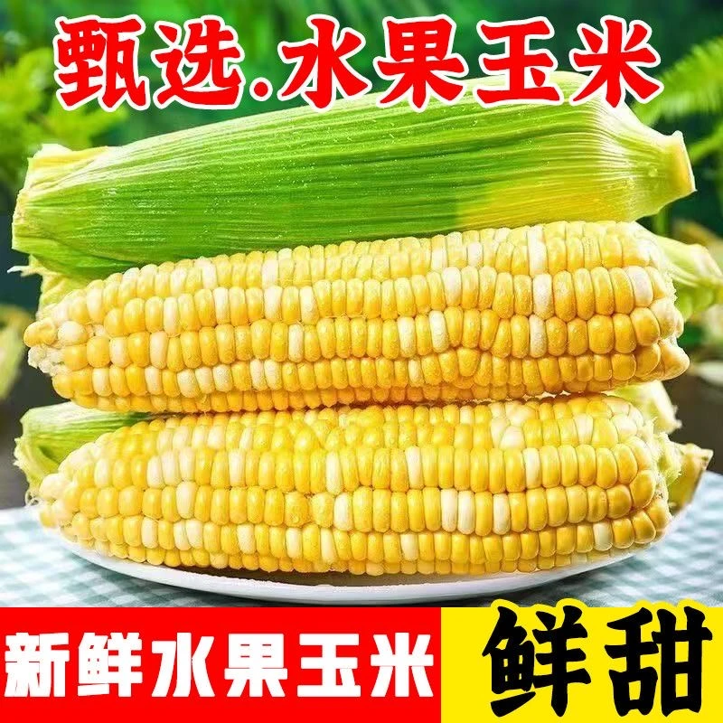 【水果玉米】云南新鲜水果玉米甜玉米甜脆可生吃9斤5斤3斤