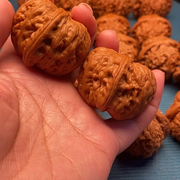 路***人元宝一对已打底44