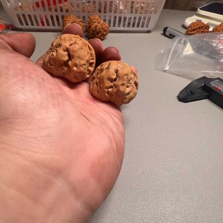 文玩核桃把件蛤蟆头43