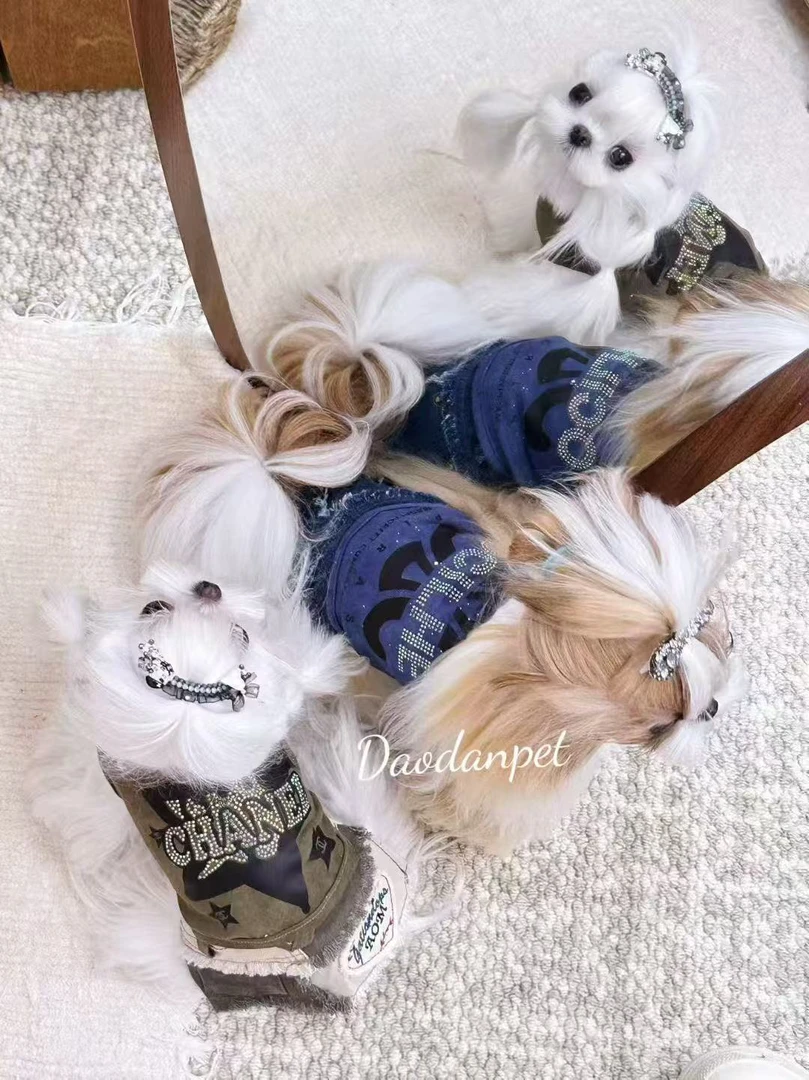 捣蛋家萌宠服饰啵啵间过款 确认尺码去拍！美式香奶奶