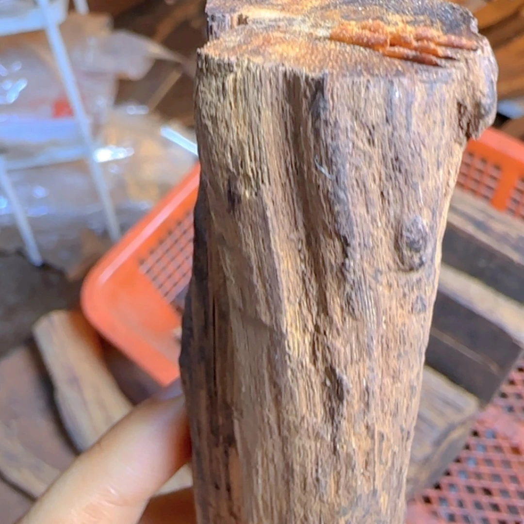 【闪购商品】降真香其他宠定制不退不换