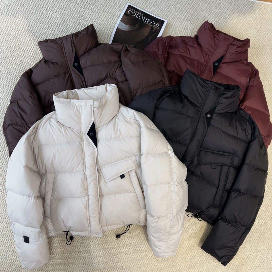 QC 242266 立领纯色羽绒服设计感韩系面包服简约洋气外套