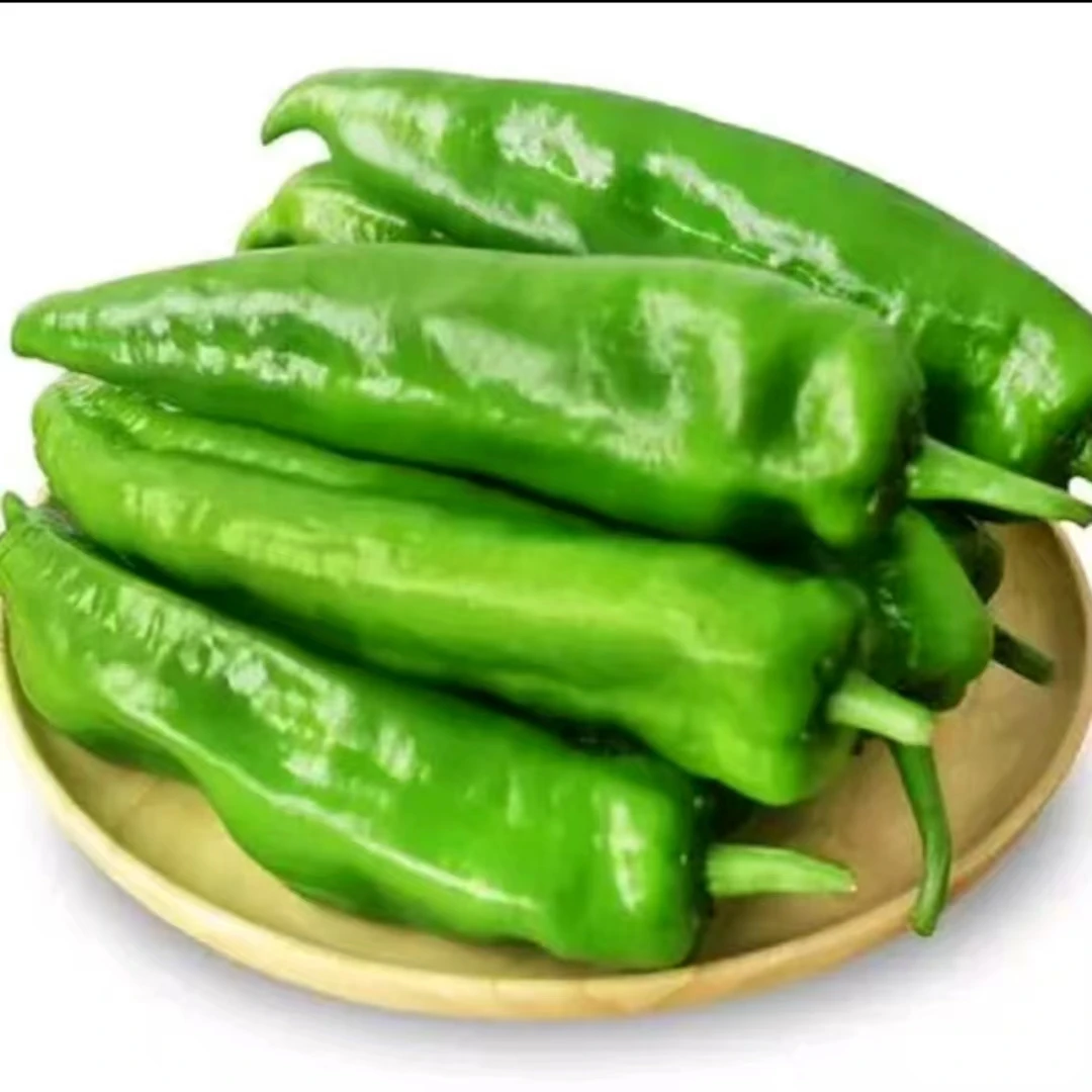 ⑬ • 尖椒   500g