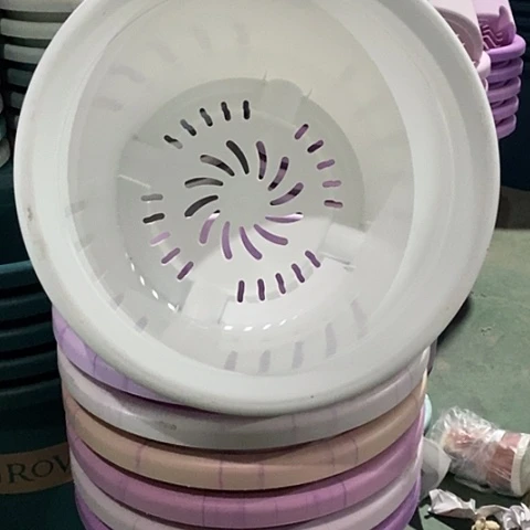 树脂四季6号无托白色5个
