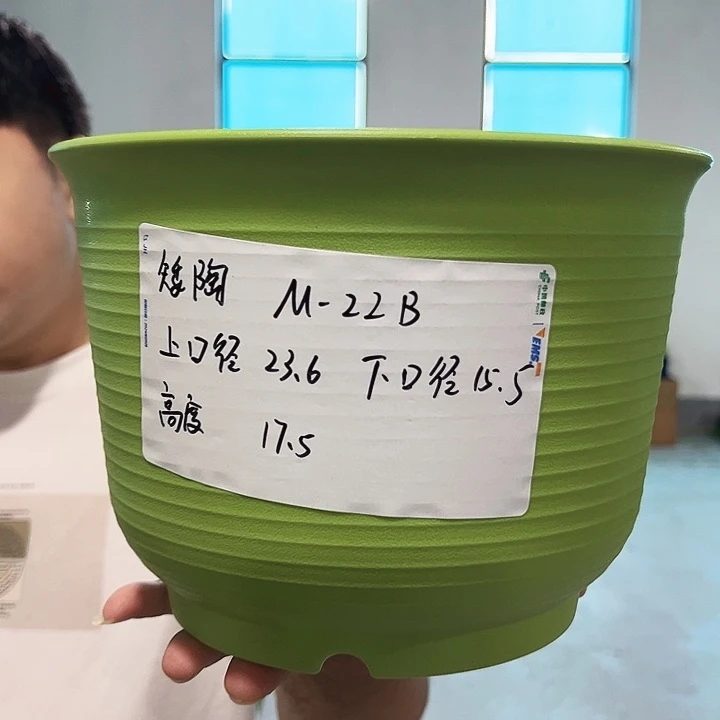 正品矮陶口23高17.5果绿无托6只