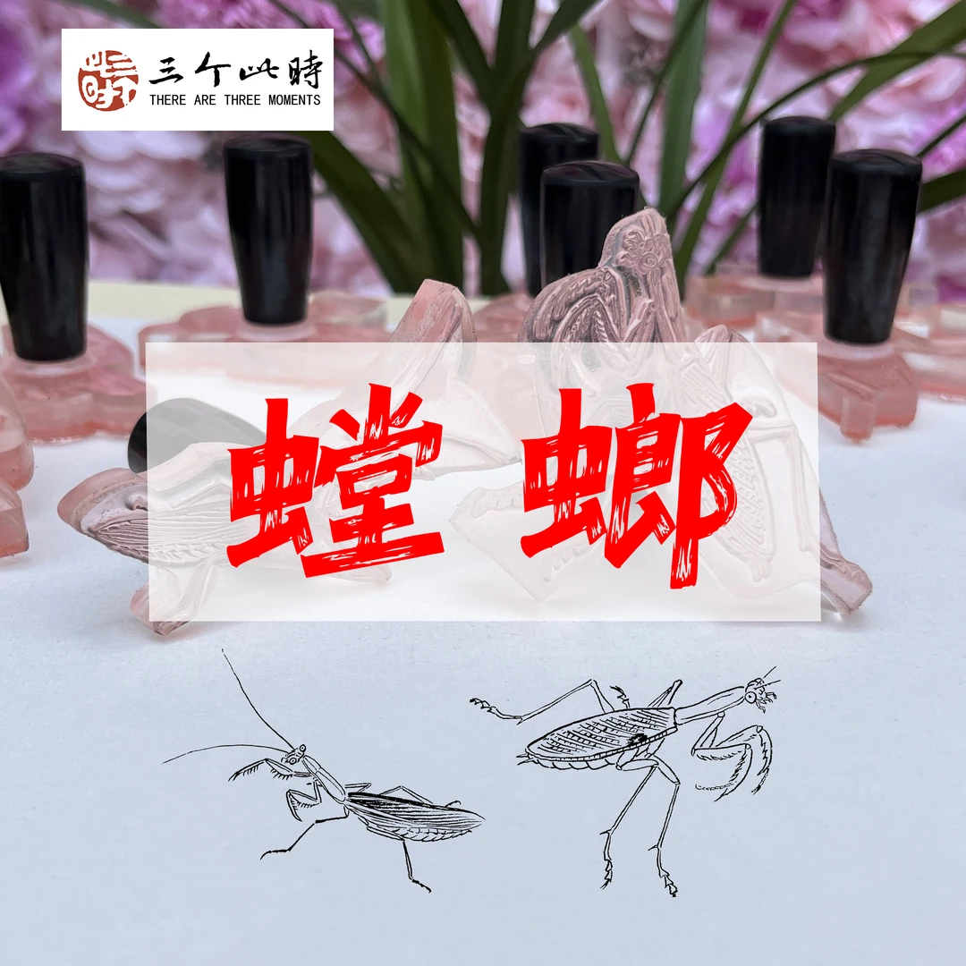 [螳螂]高透明不规则高精度国画点景印章绘画工具