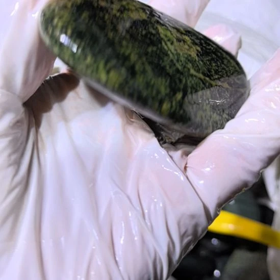 塞***岸有机玻璃藏玉药王石原石