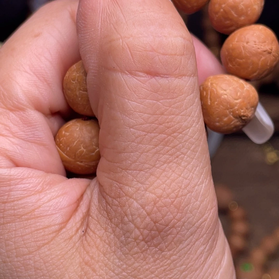 凤眼菩提手串菩提681