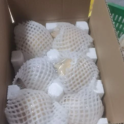 硬籽石榴华清池旁的石榴。