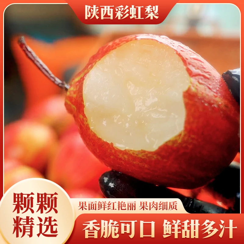 陕西彩虹梨新鲜时令水果脆甜爽口肉厚多汁新鲜梨子精选品质3斤起