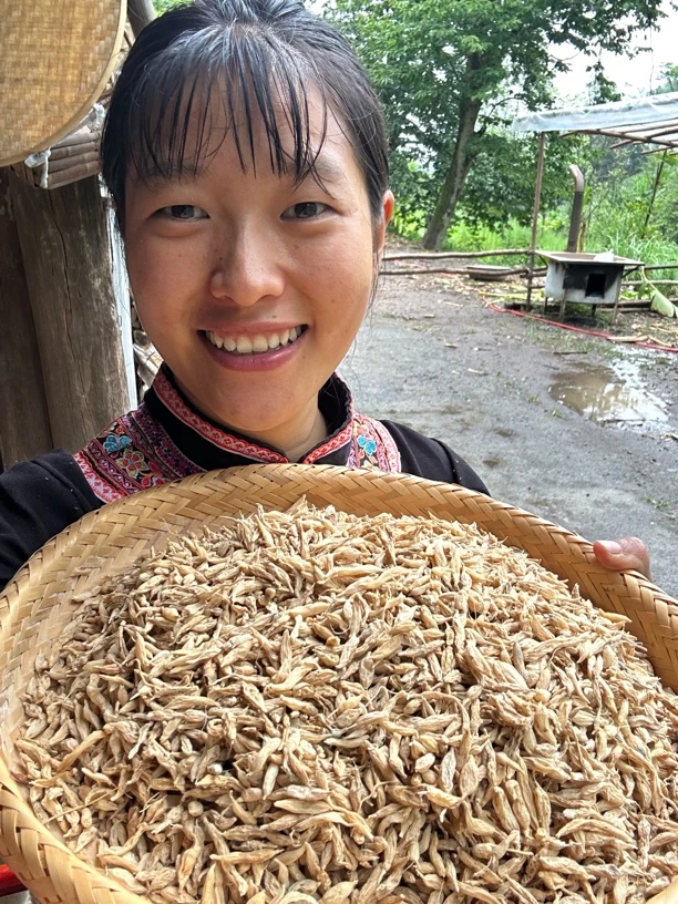正宗恩施高山麦冬
