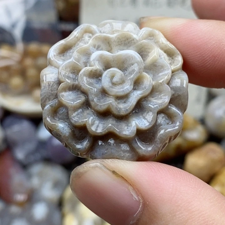 硅化珊瑚（珊瑚玉）未镶嵌颈饰