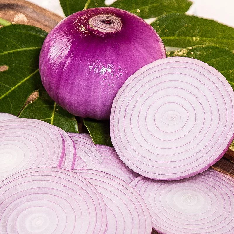 10斤云南高山紫皮洋葱2025年原产地新鲜现挖现发坏果包赔