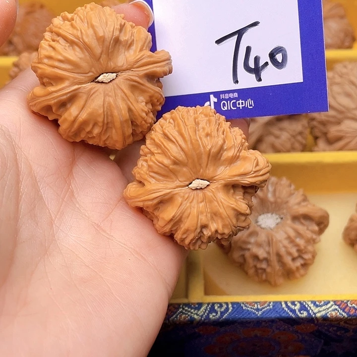 把件文玩核桃忘*草文玩核桃白狮子40