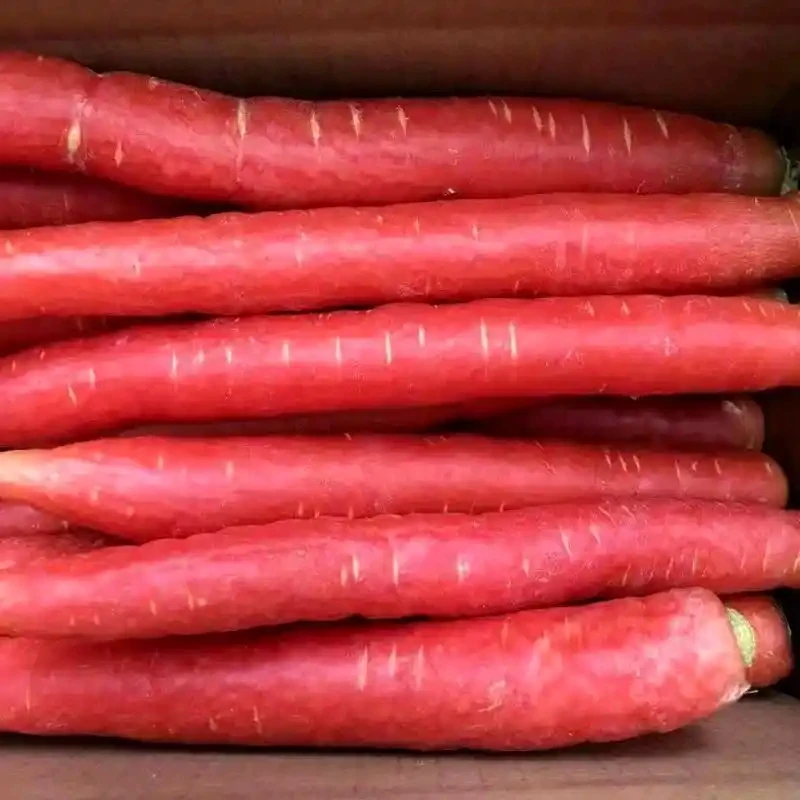 新鲜本地胡萝卜：500g+-50g