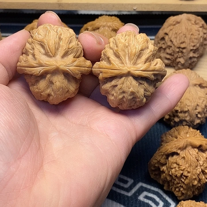 核桃43红锦鲤福利核桃