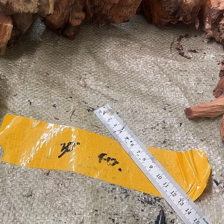 香榧木发个信息过来嘛你不接电话