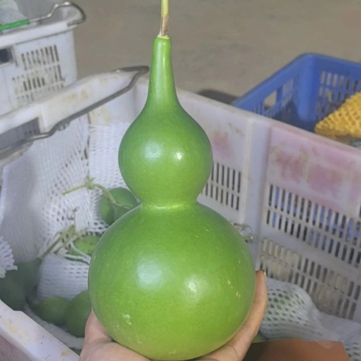 木葫芦摆件家庭摆件
