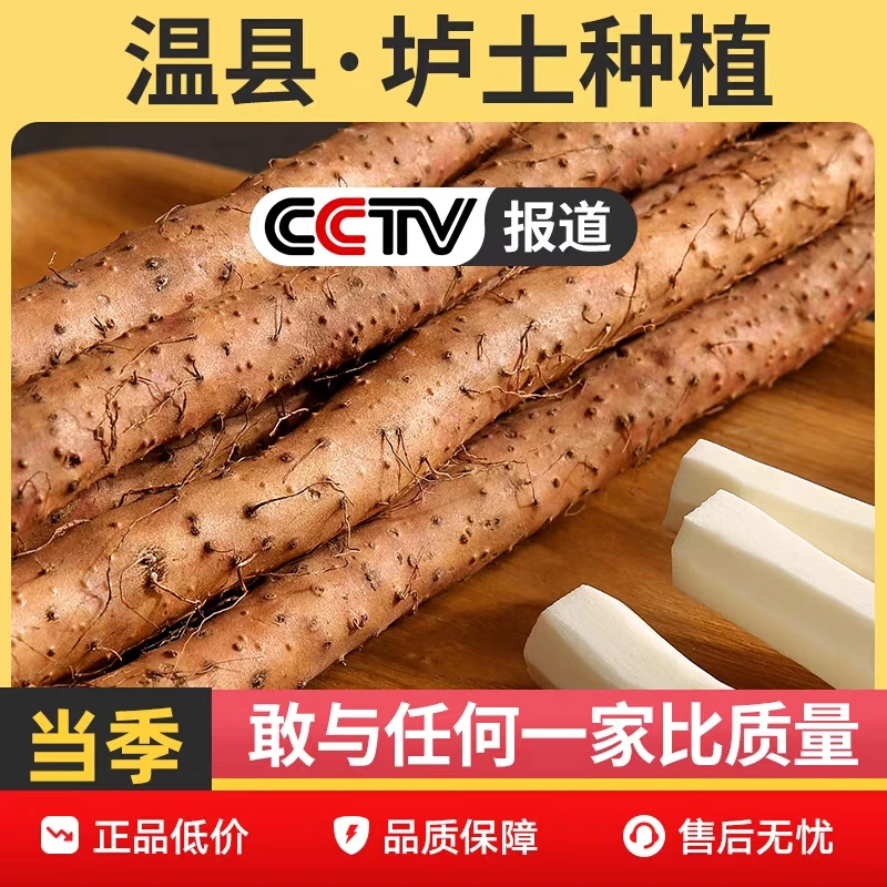 正宗河南焦作垆土铁棍山药5斤现挖温县新鲜淮怀火锅食用食材热销