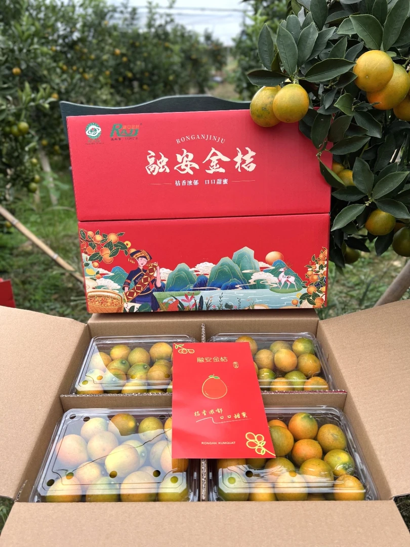融安金桔【顺丰】融安滑皮金桔5斤超值款