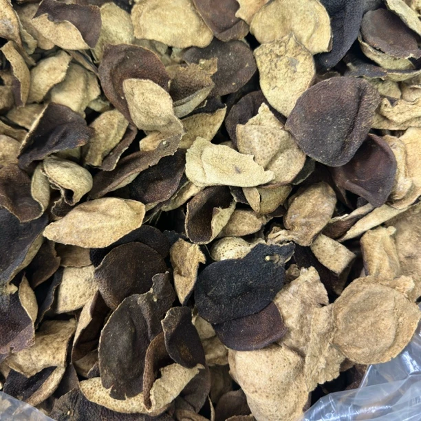 2015东甲大红皮断皮 陈香 药香 清甜感 断片角皮