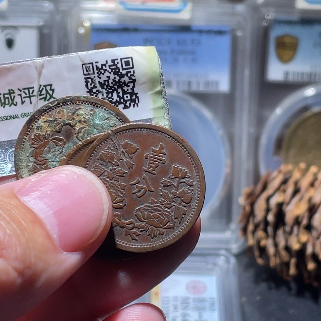 z***2铜通古博今251208范范04