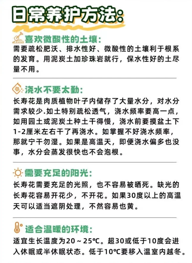 直播两盆两色无售后低于零度拍保温 不拍保温冻死不赔