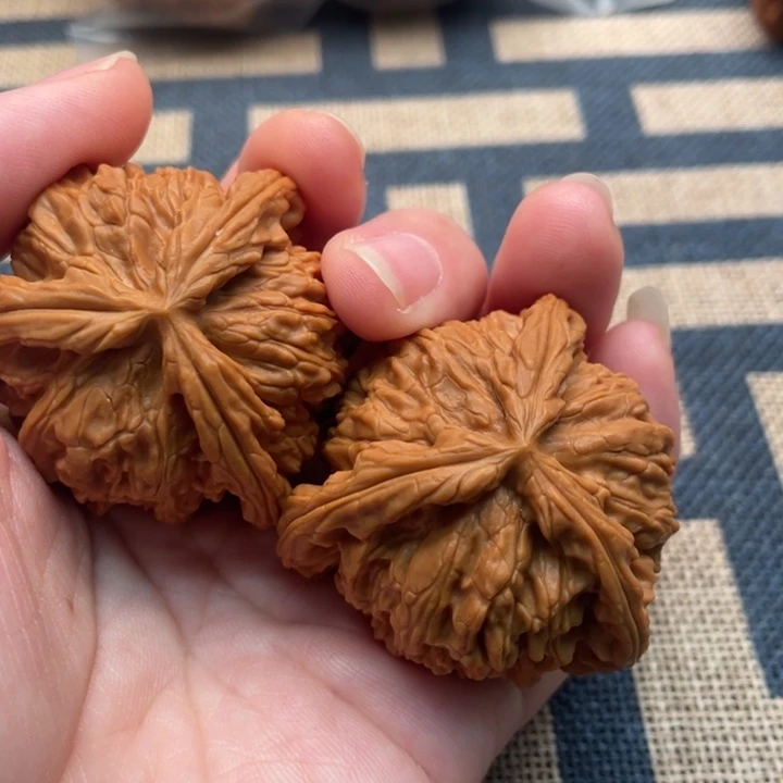 达***儿核桃白狮子42核桃